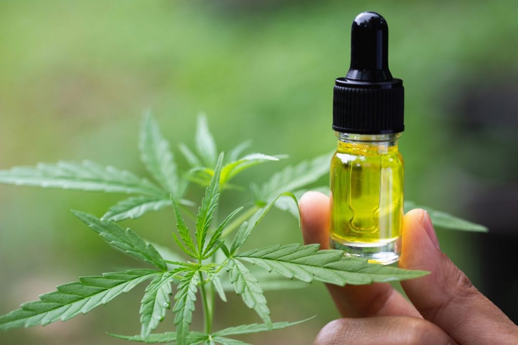 CBD Dog